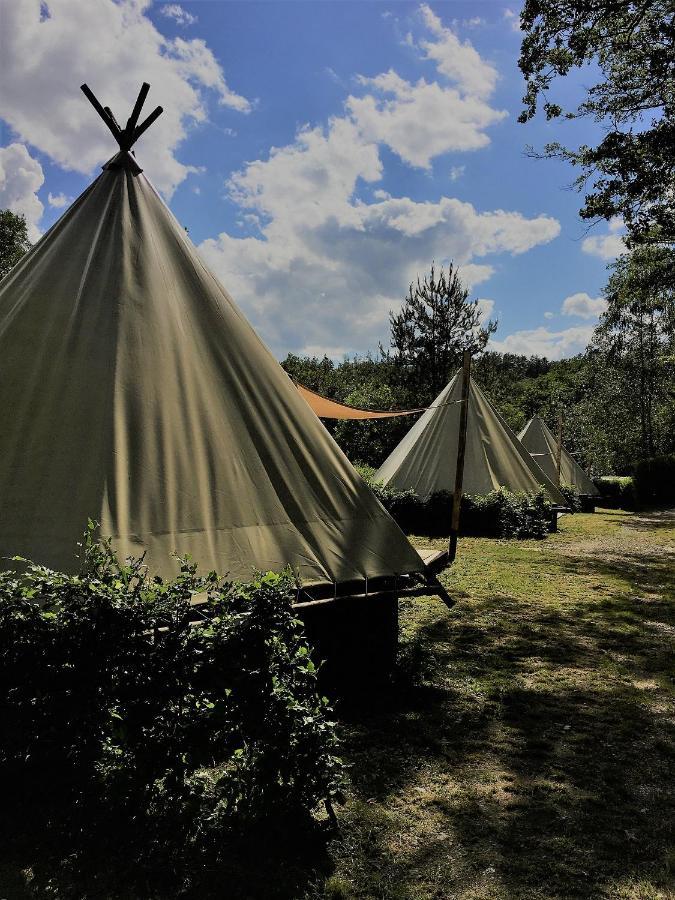 Camping Le Canada-Insolite ชินี ภายนอก รูปภาพ